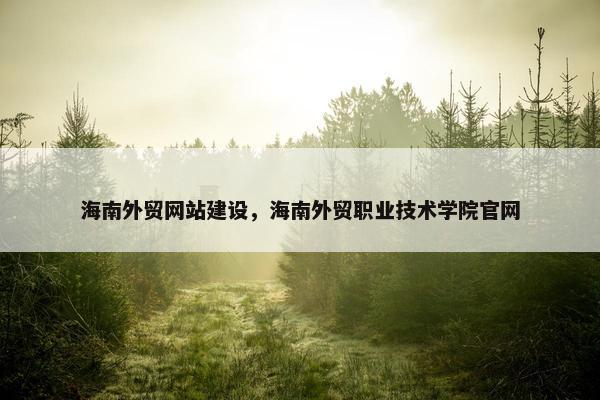 海南外贸网站建设，海南外贸职业技术学院官网
