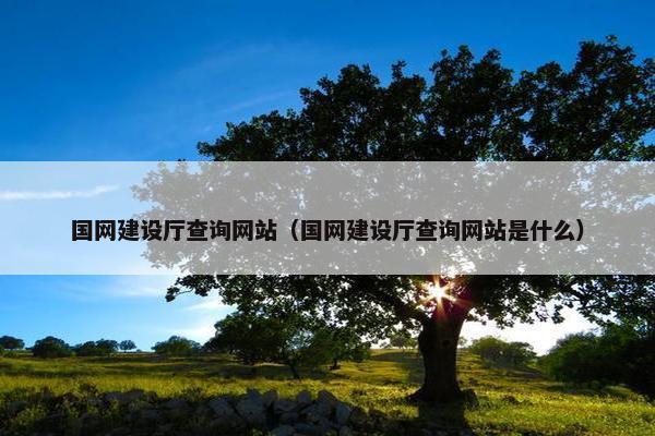 国网建设厅查询网站（国网建设厅查询网站是什么）