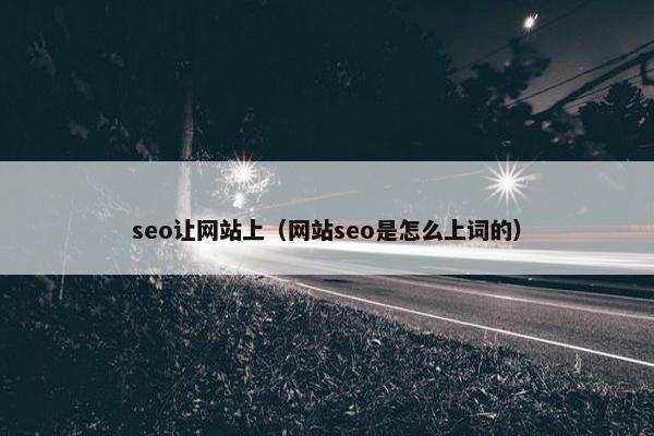 seo让网站上（网站seo是怎么上词的）