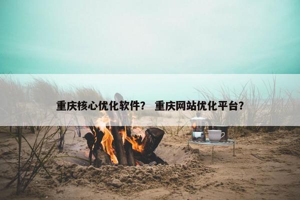 重庆核心优化软件？ 重庆网站优化平台？