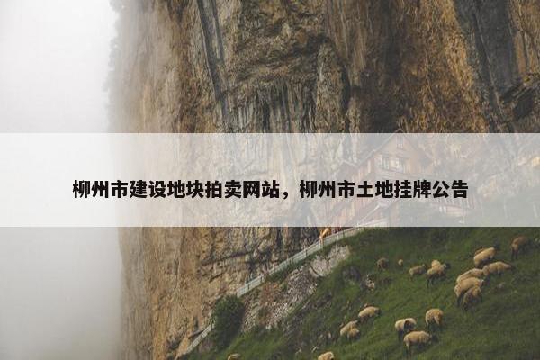 柳州市建设地块拍卖网站，柳州市土地挂牌公告