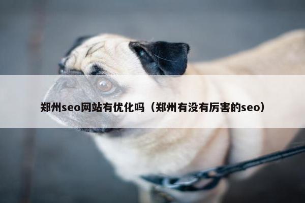 郑州seo网站有优化吗（郑州有没有厉害的seo）