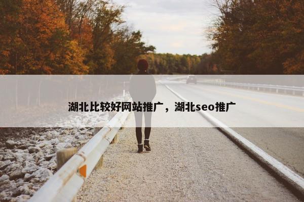 湖北比较好网站推广，湖北seo推广