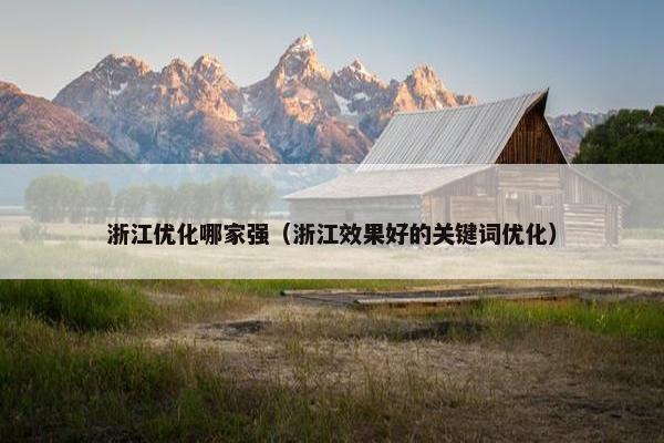 浙江优化哪家强（浙江效果好的关键词优化）