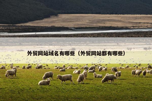 外贸网站域名有哪些（外贸网站都有哪些）