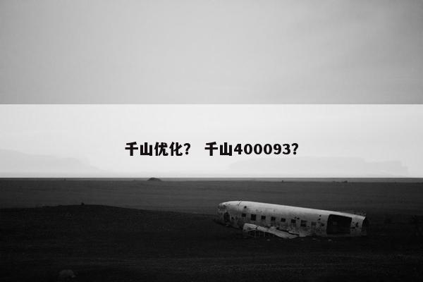 千山优化？ 千山400093？