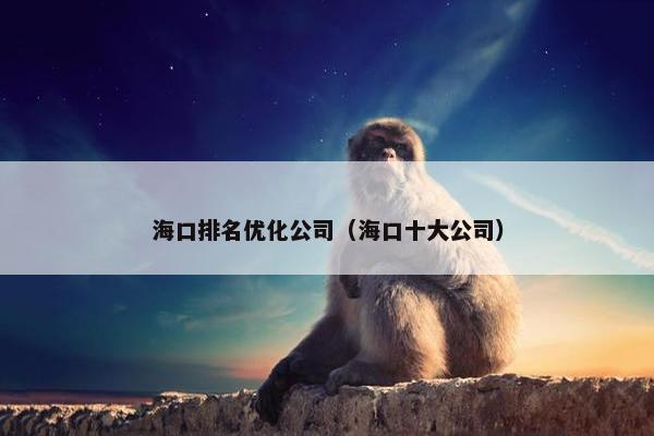 海口排名优化公司（海口十大公司）