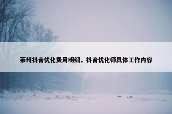 莱州抖音优化费用明细，抖音优化师具体工作内容