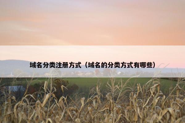 域名分类注册方式（域名的分类方式有哪些）