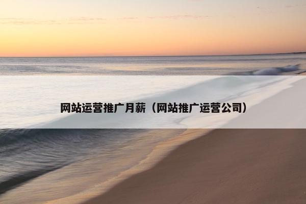 网站运营推广月薪（网站推广运营公司）