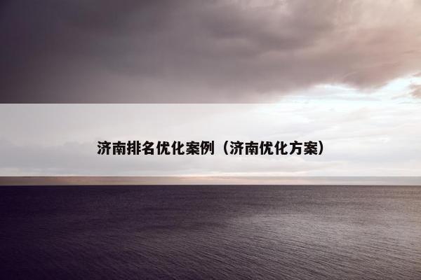 济南排名优化案例（济南优化方案）