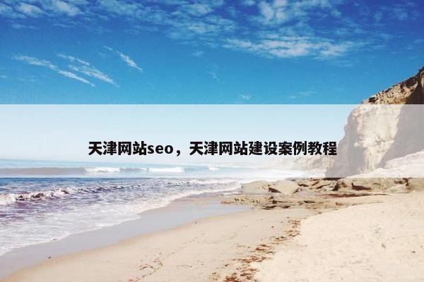 天津网站seo，天津网站建设案例教程