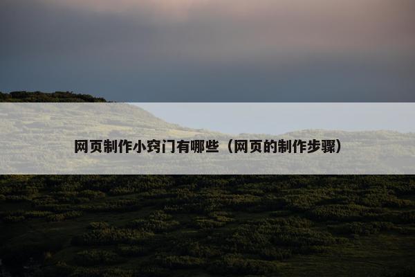 网页制作小窍门有哪些（网页的制作步骤）