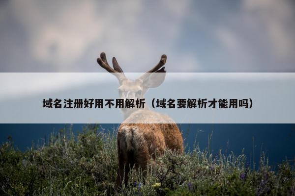 域名注册好用不用解析（域名要解析才能用吗）