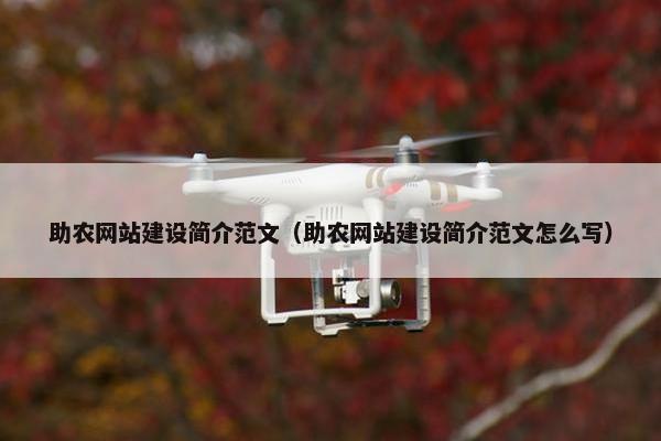 助农网站建设简介范文（助农网站建设简介范文怎么写）