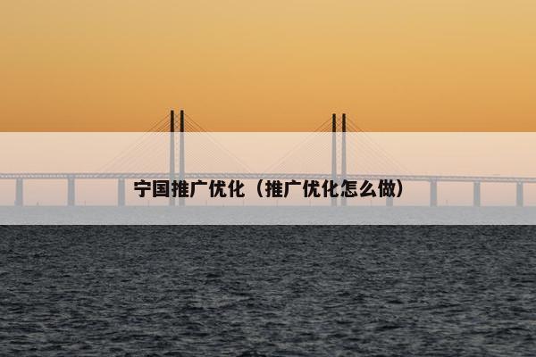 宁国推广优化（推广优化怎么做）