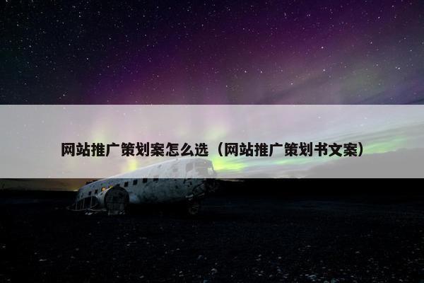 网站推广策划案怎么选（网站推广策划书文案）