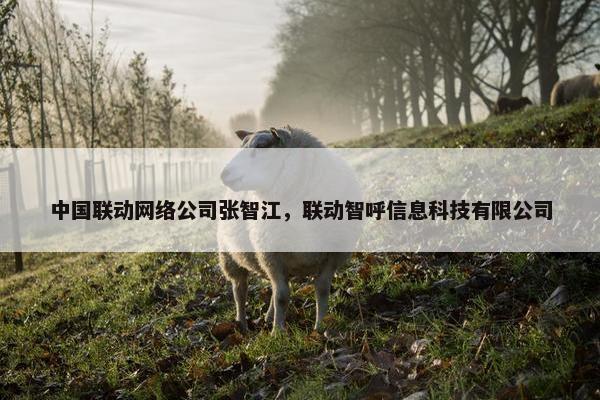 中国联动网络公司张智江，联动智呼信息科技有限公司