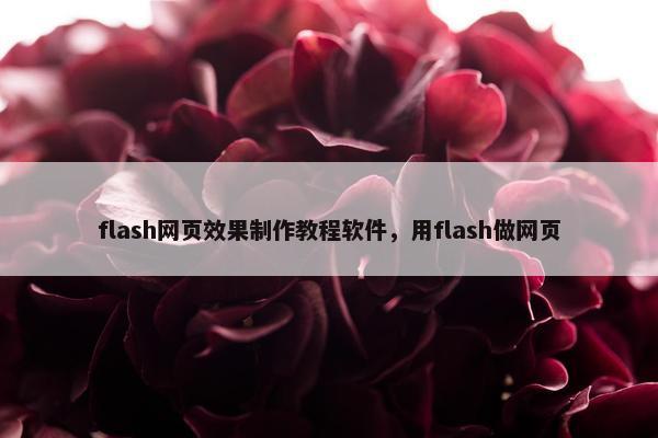 flash网页效果制作教程软件，用flash做网页