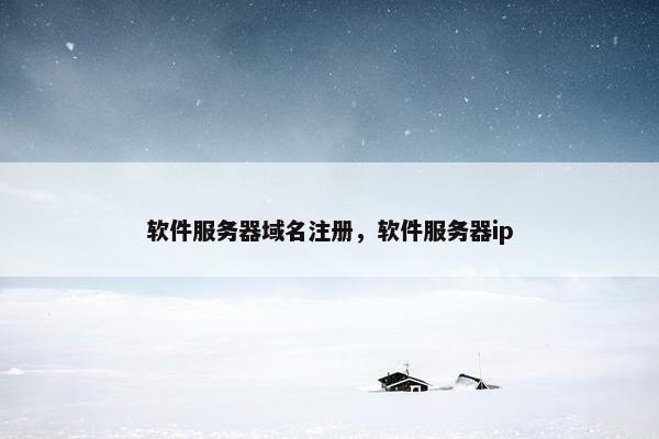 软件服务器域名注册，软件服务器ip