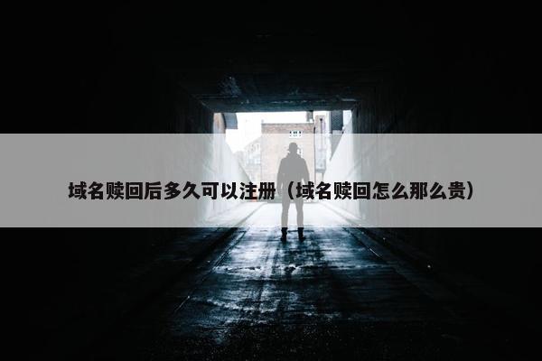 域名赎回后多久可以注册（域名赎回怎么那么贵）