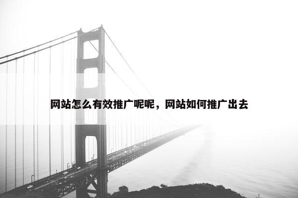 网站怎么有效推广呢呢，网站如何推广出去