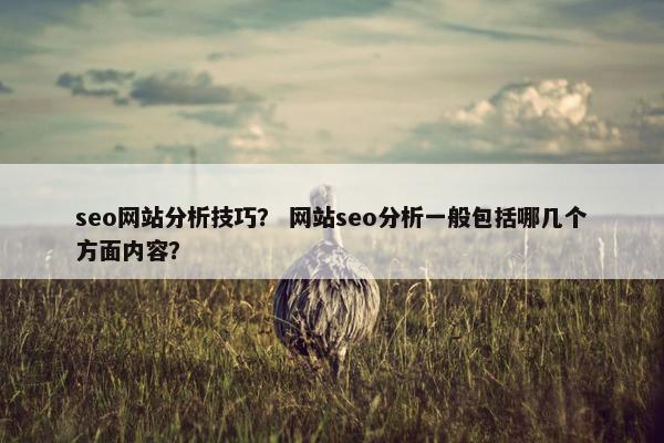 seo网站分析技巧？ 网站seo分析一般包括哪几个方面内容？