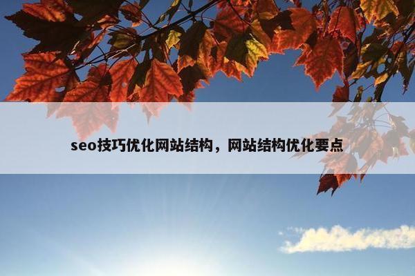 seo技巧优化网站结构，网站结构优化要点