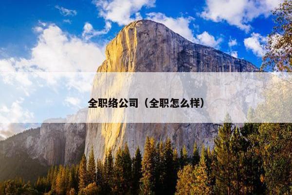全职络公司（全职怎么样）