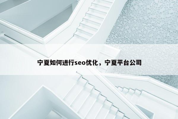 宁夏如何进行seo优化，宁夏平台公司