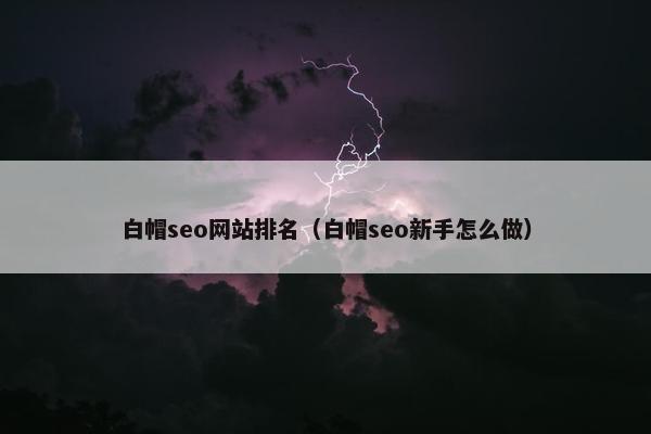 白帽seo网站排名（白帽seo新手怎么做）