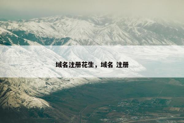 域名注册花生，域名 注册