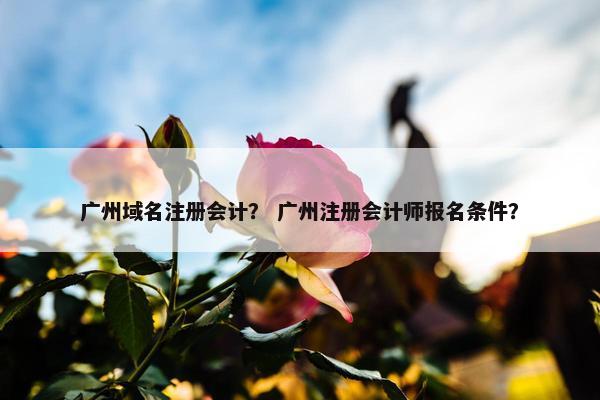 广州域名注册会计？ 广州注册会计师报名条件？