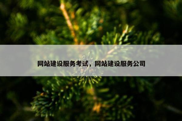 网站建设服务考试，网站建设服务公司