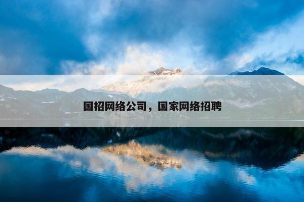 国招网络公司，国家网络招聘