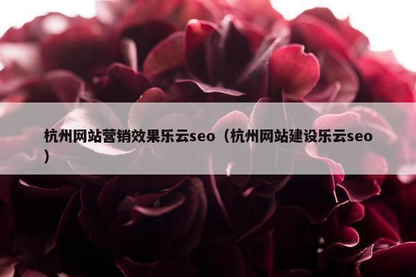 杭州网站营销效果乐云seo（杭州网站建设乐云seo）