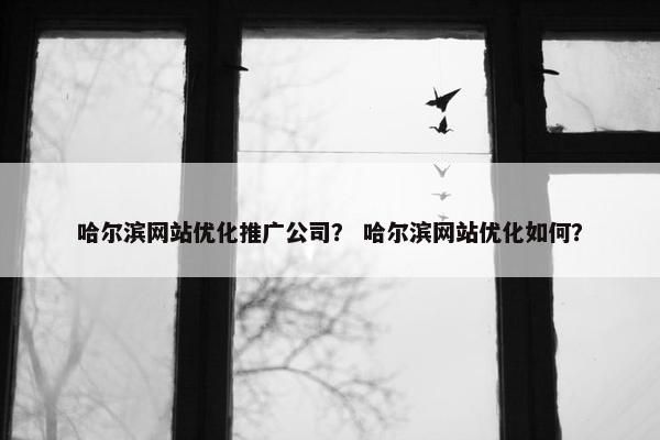 哈尔滨网站优化推广公司？ 哈尔滨网站优化如何？