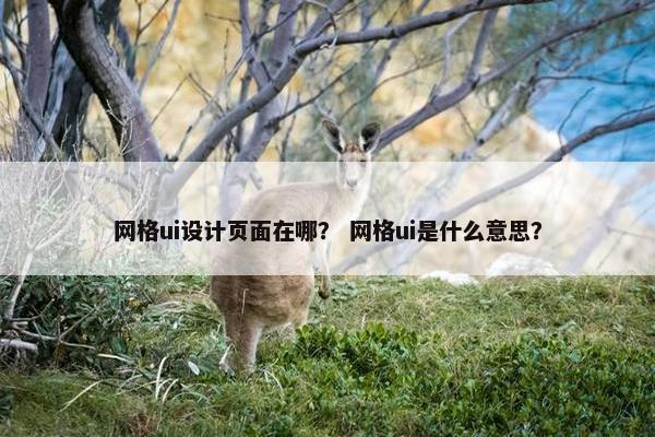 网格ui设计页面在哪？ 网格ui是什么意思？