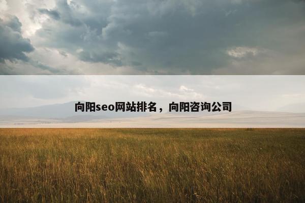 向阳seo网站排名，向阳咨询公司