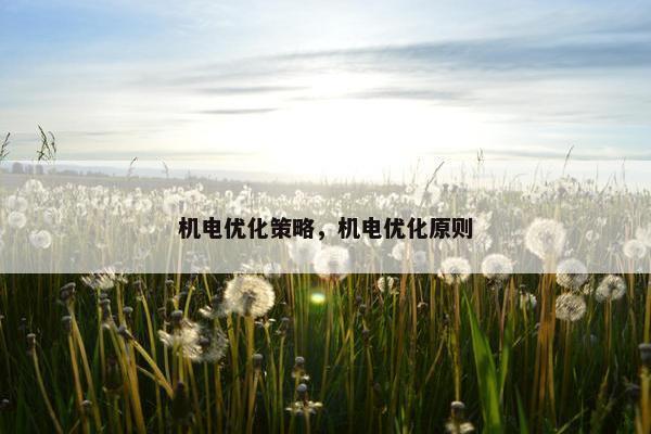 机电优化策略，机电优化原则