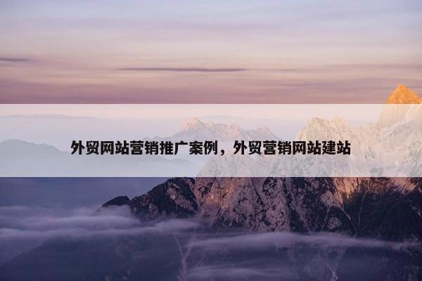 外贸网站营销推广案例，外贸营销网站建站