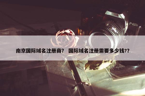 南京国际域名注册商？ 国际域名注册需要多少钱?？