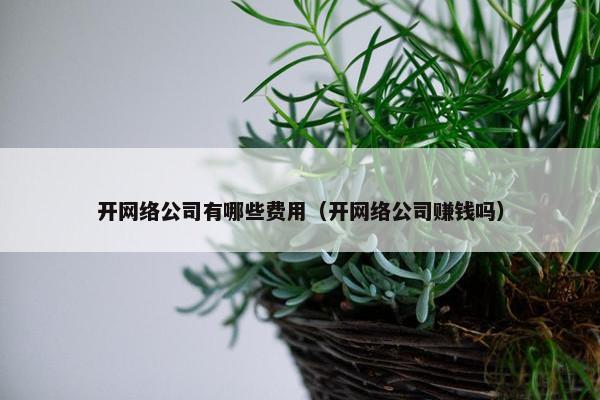 开网络公司有哪些费用（开网络公司赚钱吗）