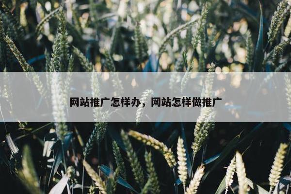 网站推广怎样办，网站怎样做推广