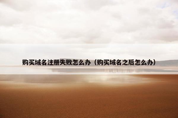 购买域名注册失败怎么办（购买域名之后怎么办）
