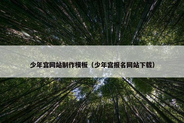 少年宫网站制作模板（少年宫报名网站下载）