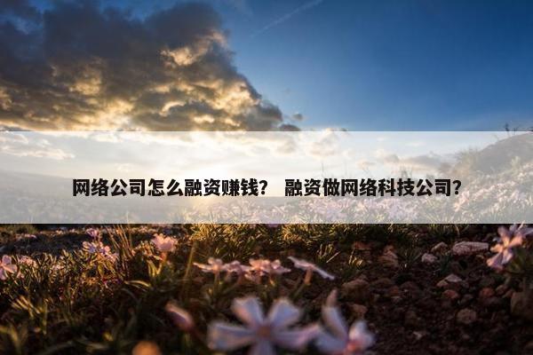 网络公司怎么融资赚钱？ 融资做网络科技公司？