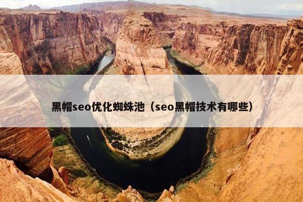 黑帽seo优化蜘蛛池（seo黑帽技术有哪些）