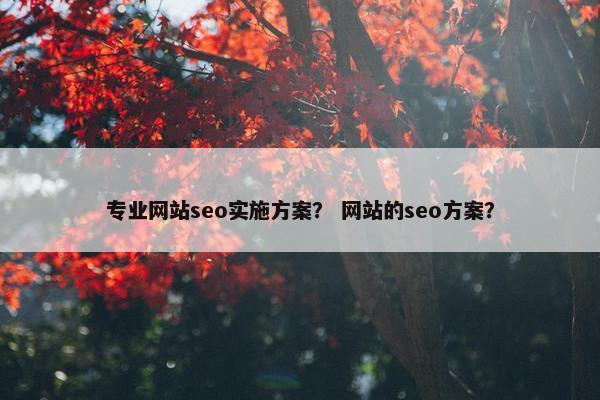 专业网站seo实施方案？ 网站的seo方案？