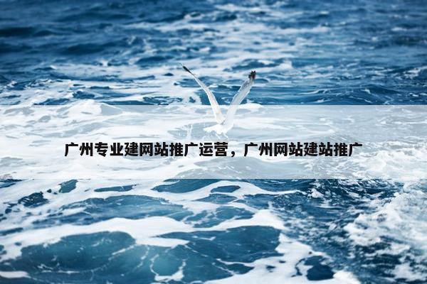广州专业建网站推广运营，广州网站建站推广